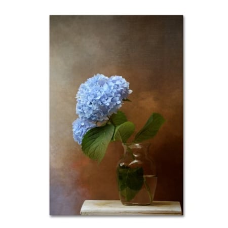 Jai Johnson 'Blue Hydrangea In A Vase' Canvas Art,16x24